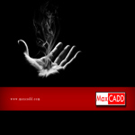 Plants: image 2 0f 4 thumb