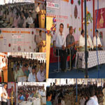 Plants: image 2 0f 4 thumb